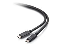 C2G 6.5ft (2m) USB-C Male to USB-C Male Cable (20V 3A) - USB 3.2 Gen 1 (5Gbps) - Câble USB - 24 pin USB-C (M) pour 24 pin USB-C (M) - USB 3.2 Gen 1 - 20 V - 3 A - 2 m - noir C2G28883