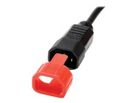 Tripp Lite PDU Plug Lock Connector C14 Power Cord to C13 Outlet Red 100pk - Clé d'extraction de câble - rouge PLC13RD