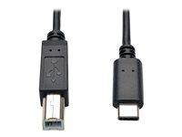 Tripp Lite 6ft USB 2.0 Hi-Speed Cable B Male to USB Type-C USB-C Male 6' - Câble USB - USB-C (M) pour USB type B (M) - USB 2.0 - 1.83 m - moulé - noir U040-006