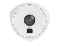 AXIS Q8414-LVS Network Camera - Caméra de surveillance réseau - à l'épreuve du vandalisme/imperméable - couleur (Jour et nuit) - 1,3 MP - 1280 x 960 - 720p - à focale variable - audio - LAN 10/100 - MPEG-4, MJPEG, H.264 - PoE Plus 0710-001
