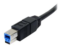 StarTech.com Cable USB 3.0 A vers B de 3 m - Noir - Câble USB - USB type A (M) pour USB Type B (M) - USB 3.0 - 3 m - moulé - noir - pour P/N: HB20A4AME, HB20A7AME, HB30C5A2CSC, S351BMU33ETG, SV231DPU34K, SV431DL2DU3A, UVCHDCAP USB3SAB10BK