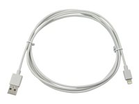 Compulocks Apple Lightning Charging Cable 6 Feet Long - Câble USB - USB (M) pour Lightning (M) - 1.83 m - pour Compulocks iPad 10.2-inch; Maclocks Rise Freedom Enclosed Rolling Kiosk 6FT10PIPDC