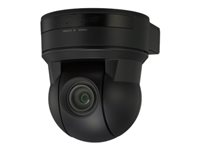 Sony EVI-D90P - Caméra de surveillance - PIZ - couleur - 550 TVL - S-Video, composite - DC 12 V EVI-D90P
