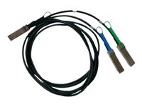 Mellanox LinkX 200Gb/s to 2x100Gb/s Splitter Cable - Câble d'attache directe 200GBase - QSFP56 pour QSFP56 - 1 m - SFF-8665 - sans halogène, passif MCP7H50-V001R30