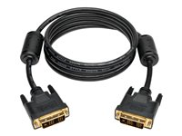 Tripp Lite 18in DVI Single Link Digital TMDS Monitor Cable DVI-D M/M 18" - Câble DVI - liaison simple - DVI-D (M) pour DVI-D (M) - 46 cm - moulé, vis moletées - noir P561-18N