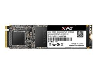 ADATA XPG SX6000 Pro - Disque SSD - 1 To - interne - M.2 2280 - PCI Express 3.0 x4 (NVMe) ASX6000PNP-1TT-C