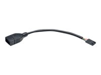 Tripp Lite USB 2.0 Hi-Speed to Gigabit Ethernet NIC Network Adapter White - Adaptateur interne vers externe USB - USB (F) pour embase USB 2.0 à 4 broches (F) - 15.2 cm - noir U024-06N-IDC