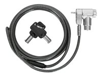 Targus DEFCON Ultimate - Câble de sécurité - à clé universelle, avec tête de verrouillage adaptable - argent - 2 m (pack de 25) ASP95MKGLX-25