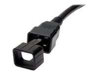 Tripp Lite PDU Plug Lock Connector C20 Power Cord to C19 Outlet Black 100pk - Clé d'extraction de câble - noir PLC19BK