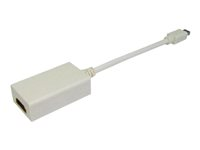 Uniformatic câble vidéo/audio - DisplayPort / HDMI - 20 cm SPE-14642