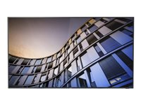 Philips 65BFL2114 - Classe de diagonale 65" TV LCD rétro-éclairée par LED - signalisation numérique - Smart TV - Android TV - 4K UHD (2160p) 3840 x 2160 - noir 65BFL2114/12