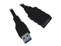 MCL Samar - Rallonge de câble USB - USB à 9 broches Type A (M) pour USB à 9 broches Type A (F) - 5 m - noir MC923AMF-5M/N
