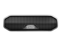 SanDisk - Disque dur - Enterprise - 4 To - externe (de bureau) - USB 3.2 Gen 2 (USB-C connecteur) - 7200 tours/min SDPHF1A-004T-MBAAD