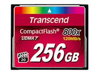 Transcend Premium - Carte mémoire flash - 256 Go - 800x - CompactFlash TS256GCF800