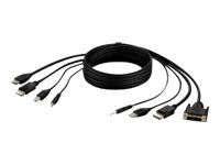 Belkin Secure KVM Combo Cable - Câble vidéo / USB / audio - USB, jack mini, DVI-D, DisplayPort (M) pour USB type B, jack mini, HDMI, DisplayPort (M) - 1.83 m - passif, support 4K - noir F1DN2CC-DHPP-6