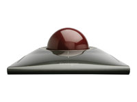 Kensington SlimBlade Trackball - Boule de commande - droitiers et gauchers - laser / optique - 4 boutons - filaire - USB - Rouge rubis, argent métallique K72327EU
