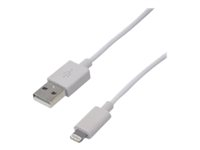MCL Samar - Câble de chargement / de données - Lightning / USB - Lightning (M) pour USB (M) - 1 m - pour Apple iPad/iPhone/iPod (Lightning) ACC-IP05IZ