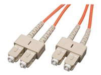 Tripp Lite 3M Duplex Multimode 62.5/125 Fiber Optic Patch Cable SC/SC 10' 10ft 3 Meter - Câble réseau - SC multi-mode (M) pour SC multi-mode (M) - 3.1 m - fibre optique - duplex N306-010