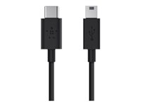 Belkin - Câble USB - USB-C (M) reversible pour mini USB type B (M) - USB 2.0 - 500 mA - 1.83 m - noir F2CU034BT06-BLK