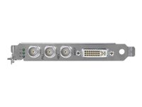 NVIDIA Quadro SDI Output - Panneau d'interface additionnelle - PCIe - DVI, HD-SDI VCQKSDIOUTPUT-PB