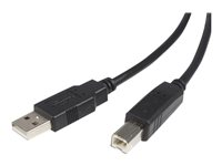 StarTech.com 6 ft. (1.8 m) USB Printer Cable - USB 2.0 A to B - Printer Cable - Black - USB A to B (USB2HAB6) - Câble USB - USB (M) pour USB type B (M) - USB 2.0 - 1.8 m - moulé - noir - pour P/N: RKCOND17HD, ST4200MINI2, SV231DPDDUA2, SV431DL2DU3A, SV431 USB2HAB6