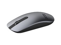 Acer Slim - Souris - optique - sans fil - récepteur sans fil USB - argent NP.MCE11.00D