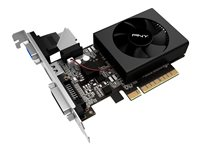 PNY GeForce GT 730 - Carte graphique - GF GT 730 - 2 Go DDR3 - PCIe 2.0 x8 profil bas - DVI, D-Sub, HDMI GF730GTLP2GEPB