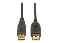 Tripp Lite Câble d' extension USB 2.0 haute vitesse (A M/F) 0,91 m - Rallonge de câble USB - USB (F) pour USB (M) - USB 2.0 - 91 cm - moulé, bloqué - noir U024-003