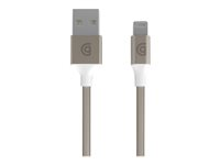Griffin Premium - Câble Lightning - USB mâle pour Lightning mâle - 1.5 m - or GC43431