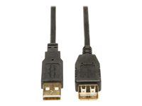Tripp Lite Câble d' extension USB 2.0 haute vitesse (A M/F) 1,83 m - Rallonge de câble USB - USB (M) pour USB (F) - USB 2.0 - 1.83 m - noir U024-006