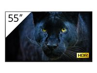 Sony FWD-55A8/T - Classe de diagonale 55" (54.6" visualisable) - BRAVIA Professional Displays A8 Series affichage OLED - avec tuner TV - signalisation numérique - Android TV - 4K UHD (2160p) 3840 x 2160 - HDR - noir FWD-55A8/T