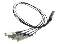 HPE X240 Direct Attach Copper Splitter Cable - Câble réseau - SFP+ pour QSFP+ - 1 m - pour HPE 5900AF-48; Edgeline e920; FlexFabric 1.92, 11908, 12900, 12902; ProLiant e910t 2U JG329A