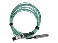 StarTech.com MSA Uncoded 10m 40G QSFP+ to QSFP+ AOC Cable - 40 GbE QSFP+ Active Optical Fiber - 40 Gbps QSFP Plus Cable 32.8' - Câble d'attache directe 40GBase - QSFP+ verrouillé pour QSFP+ verrouillé - 10 m - fibre optique - SFF-8436 - actif - noir QSFP40GAO10M