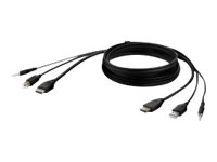 Belkin Secure KVM Combo Cable - Câble vidéo / USB / audio - USB, jack mini, HDMI (M) pour USB type B, jack mini, HDMI (M) - 3.05 m - passif, support 4K - noir F1DN1CCBL-HH-10