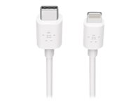 Belkin BOOST CHARGE - Câble Lightning - Lightning (M) pour USB-C (M) - 1.2 m - blanc - pour Apple iPad/iPhone/iPod (Lightning) F8J239BT04-WHT