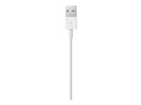 Apple - Câble Lightning - Lightning mâle pour USB mâle - 1 m MXLY2ZM/A
