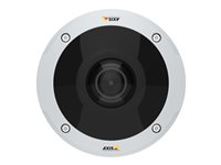 AXIS M3058-PLVE Network Camera - Caméra de surveillance réseau - dôme - extérieur - anti-poussière / imperméable / résistant aux dégradations - couleur (Jour et nuit) - 12 MP - 3584 x 2668 - 1080p - iris fixe - Focale fixe - HDMI - LAN 10/100 - MJPEG, H.264, MPEG-4 AVC - PoE 01178-001