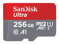 SanDisk Ultra - Carte mémoire flash (adaptateur microSDXC vers SD inclus(e)) - 256 Go - A1 / UHS Class 1 / Class10 - microSDXC UHS-I SDSQUAR-256G-GN6MA