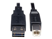 Tripp Lite 10ft USB 2.0 High Speed Cable Reverisble A to B M/M 10' - Câble USB - USB (M) pour USB type B (M) - USB 2.0 - 3.05 m - moulé UR022-010