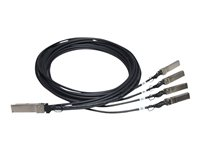 HPE X240 Direct Attach Copper Splitter Cable - Câble réseau - SFP+ pour QSFP+ - 5 m - pour HPE 5900AF-48; Edgeline e920; FlexFabric 1.92, 11908, 12900, 12902; ProLiant e910t 2U JG331A
