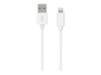 Bigben Connected - Câble Lightning - USB mâle pour Lightning mâle - 1.2 m - blanc - pour Apple 10.2-inch iPad; 10.5-inch iPad Air; iPad mini 5; iPhone 11, 8, SE, X, XR, XS, XS Max CBLMFI1M2W