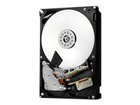 HGST Ultrastar 7K6000 HUS726020ALA614 - Disque dur - 2 To - interne - 3.5" - SATA 6Gb/s - 7200 tours/min - mémoire tampon : 128 Mo 0F23104