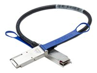 Mellanox LinkX 100Gb/s Passive Copper Cables - Câble InfiniBand - QSFP pour QSFP - 1 m - fibre optique - SFF-8665/IEEE 802.3bj - sans halogène MCP1600-E001
