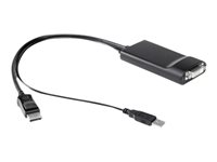HP - Adaptateur DVI - USB, DisplayPort (M) pour DVI-D (F) - pour EliteDesk 800 G4; EliteOne 1000 G2; ENVY 27; ProDesk 400 G5, 600 G4; Workstation Z8 G4 NR078AA