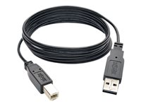 Tripp Lite 6ft USB 2.0 High Speed Super Slim Cable Reversible A to B M/M 6' - Câble USB - USB type B (M) pour USB (M) - USB 2.0 - 1.83 m - moulé, connecteur A réversible - noir UR022-006-SLIM