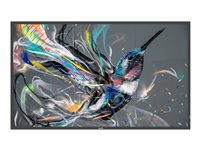 Philips 32BDL3550Q - Classe de diagonale 32" (31.5" visualisable) - Q-Line écran LCD rétro-éclairé par LED - signalisation numérique - 1080p 1920 x 1080 - LED à éclairage direct 32BDL3550Q/00