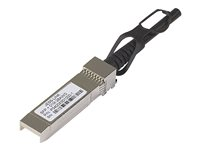 NETGEAR ProSafe Direct Attach SFP+ Cable - Câble d'empilage - SFP+ pour SFP+ - 3 m - pour NETGEAR GSM7228, GSM7252, GSM7328, GSM7352, M4300; Next-Gen Edge Managed Switch M5300 AXC763-10000S