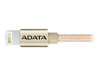 ADATA - Câble Lightning - USB (M) pour Lightning (M) - 1 m - or - pour Apple iPad/iPhone/iPod (Lightning) AMFIAL-100CMK-CGD