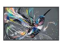 Philips 86BDL3510Q - Classe de diagonale 86" (85.6" visualisable) - Q-Line écran LCD rétro-éclairé par LED - signalisation numérique - 4K UHD (2160p) 3840 x 2160 - Direct LED 86BDL3510Q/00