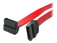 StarTech.com Câble SATA à angle droit de 20 cm - Cordon Serial ATA coudé - Câble SATA - Serial ATA 150/300/600 - SATA (R) pour SATA (R) - 20.3 cm - connecteur à angle droit - rouge - pour P/N: USB2SATAIDE, USB3SSATAIDE SATA8RA1